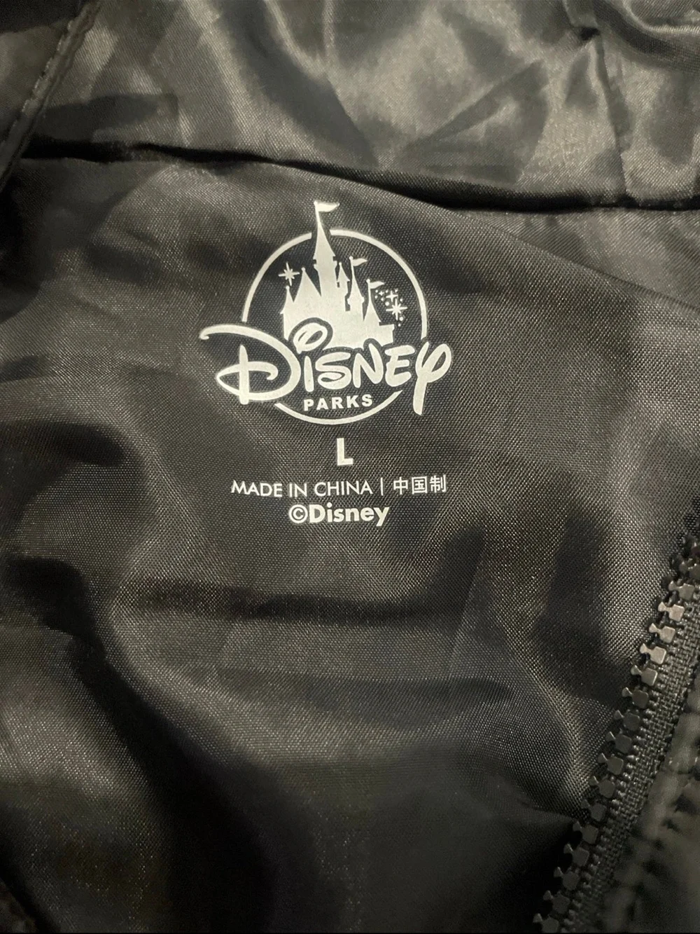 Disney parks kids